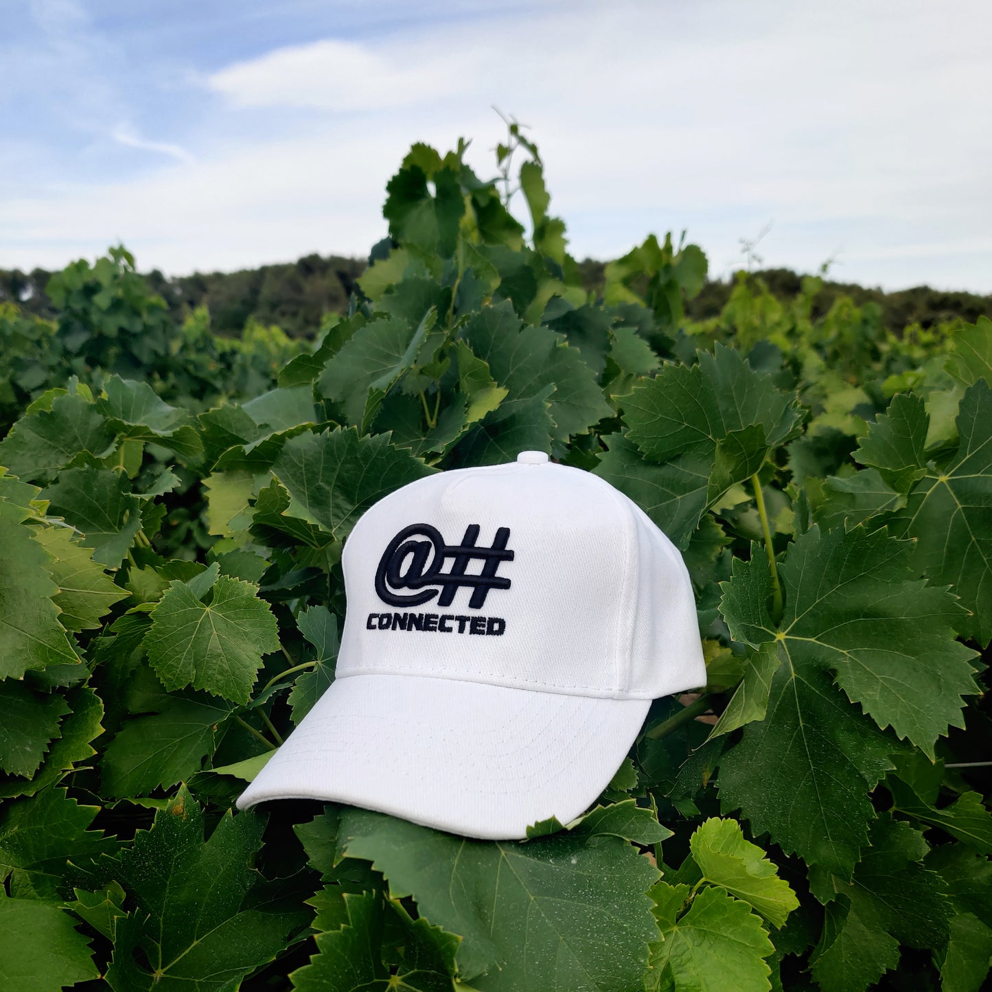 Casquette blanche 100% coton bio
